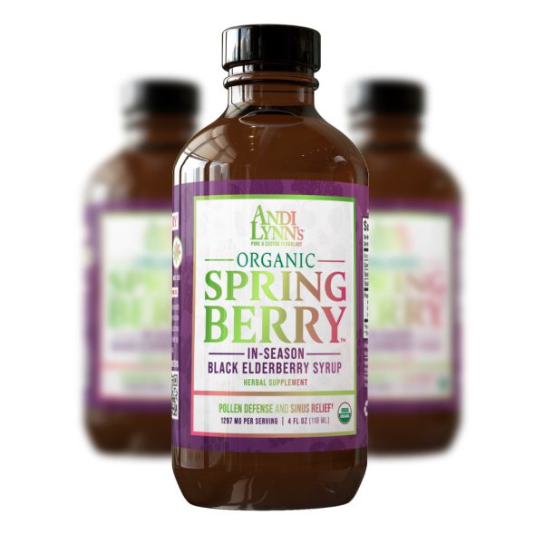 Andi Lynn's Organic Springberry Syrup 4oz