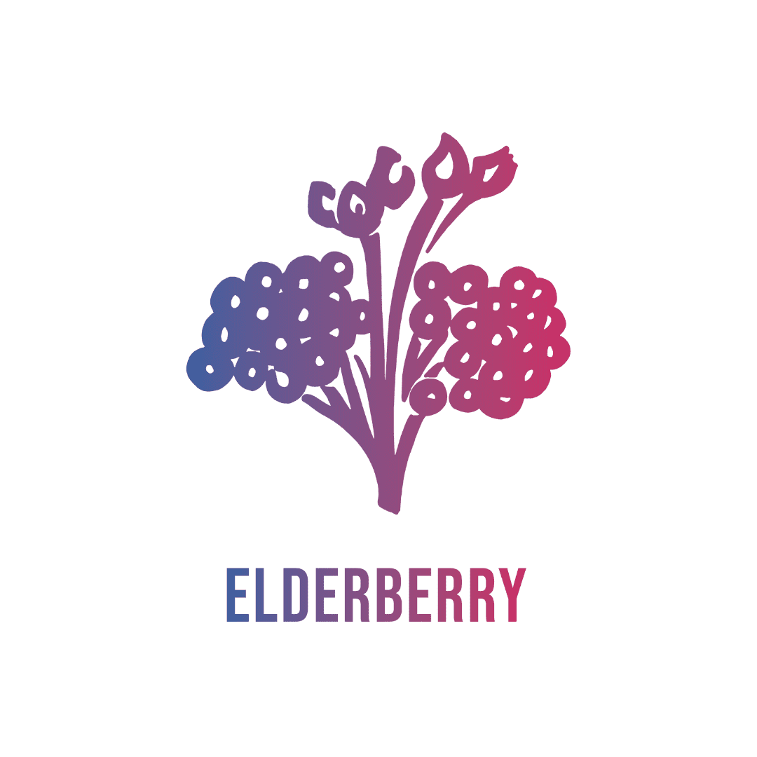 Andi Lynn's Winter Elderberry Syrup