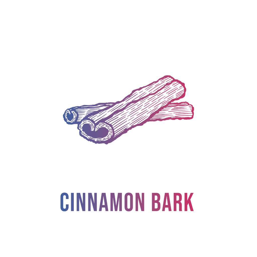 Andi Lynn's Winter Elderberry Syrup