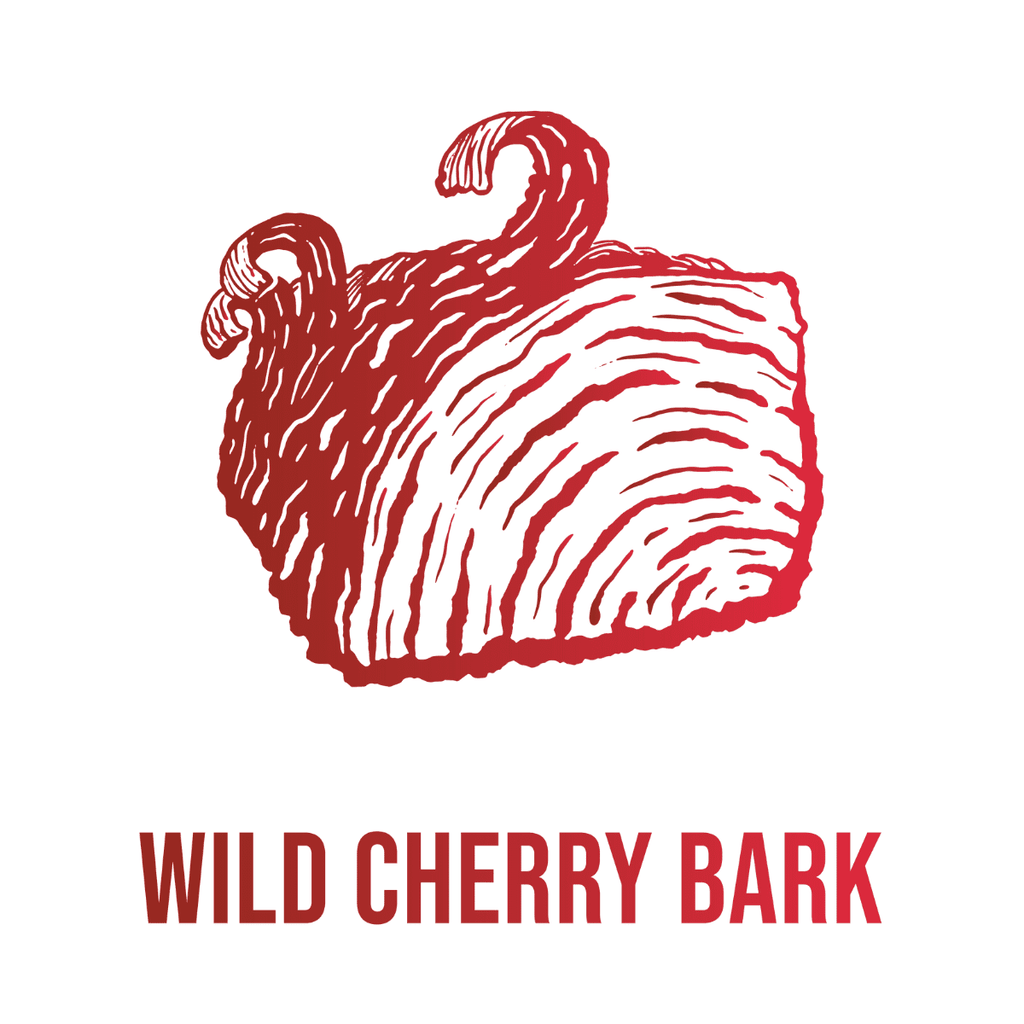 Andi Lynn's Bronchia Calm Wild Cherry Bark Syrup