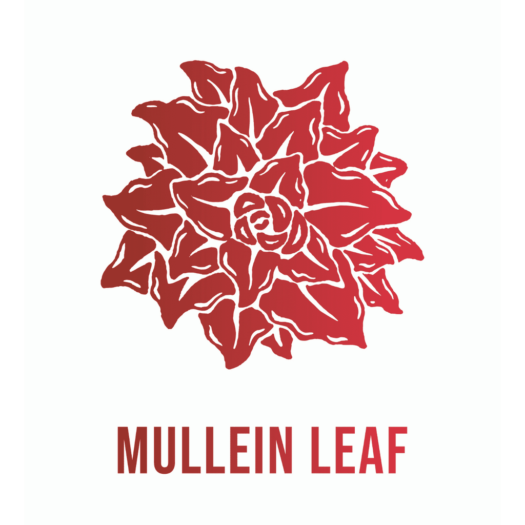 Andi Lynn's Bronchia Calm Wild Cherry Bark Syrup