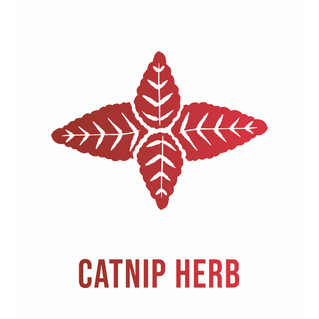 Andi Lynn's Bronchia Calm Wild Cherry Bark Syrup